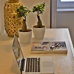 Five Stars Combro 77 Apartment Lissabon